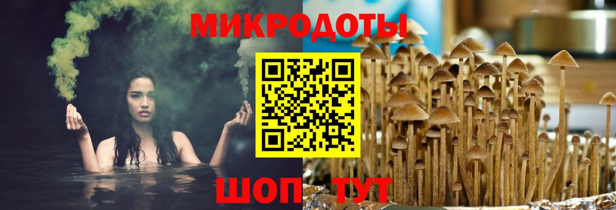 Псилоцибиновые грибы MAGIC MUSHROOMS Благовещенск